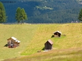 Prossima Foto: Trentino d'estate