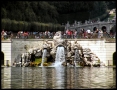 Prossima Foto: Fontana dei Delfini