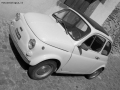Foto Precedente: Fiat 500