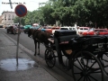 Foto Precedente: Coche de caballo en Parque Central - La Habana